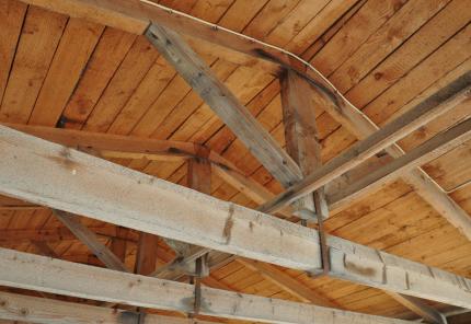 Wood Durability 1