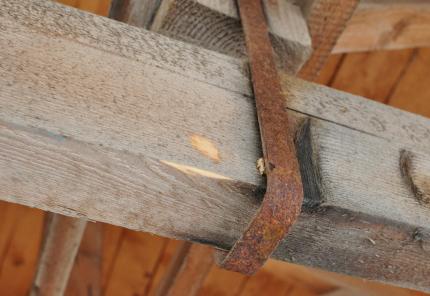 Wood Durability 2