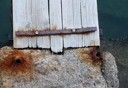 Wood Durability 5