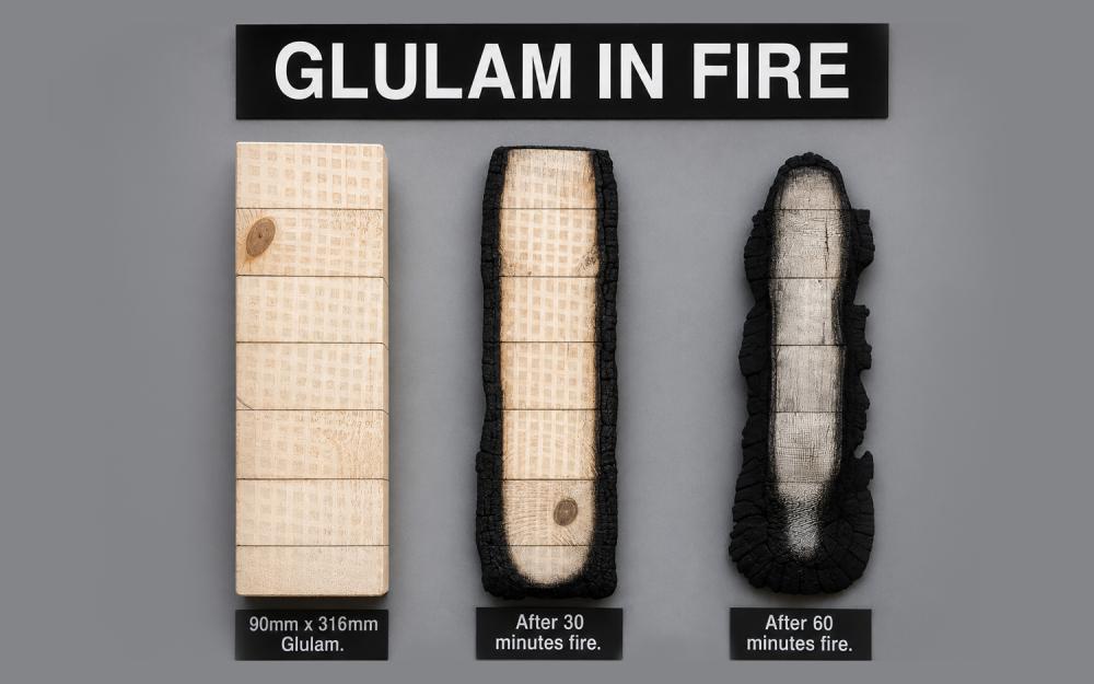 Fire Performance of Wood