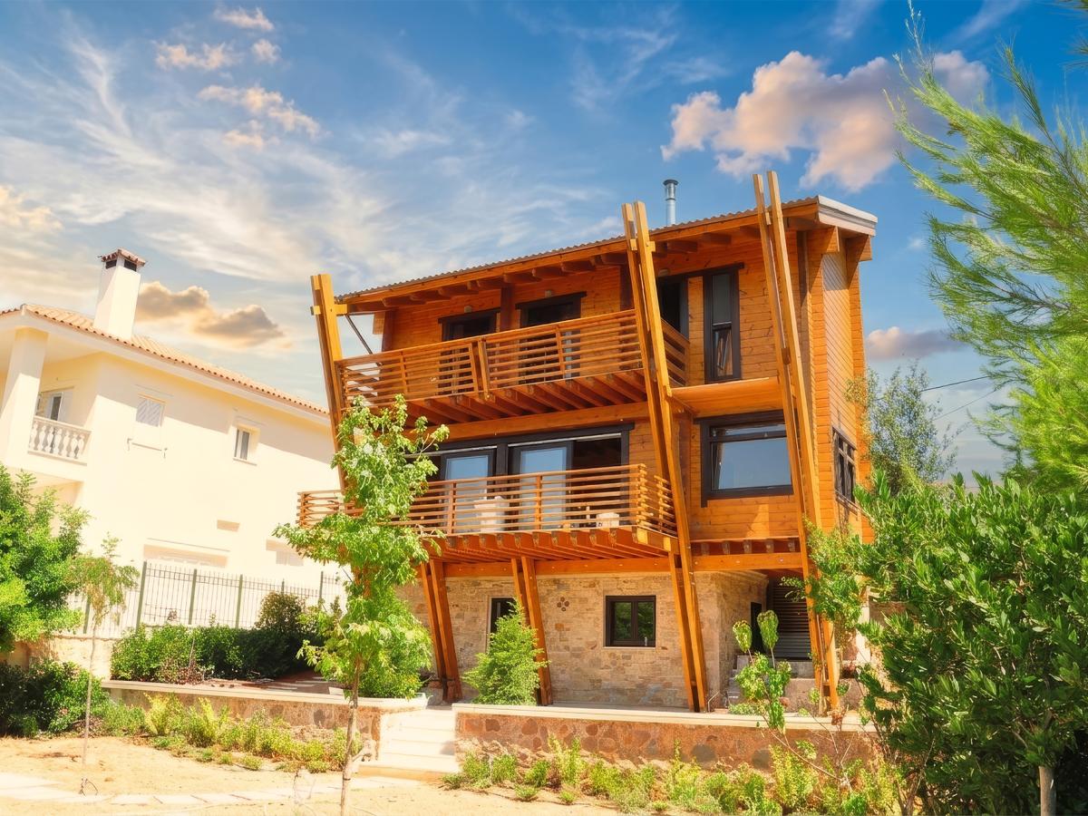 Dioni Log House 1