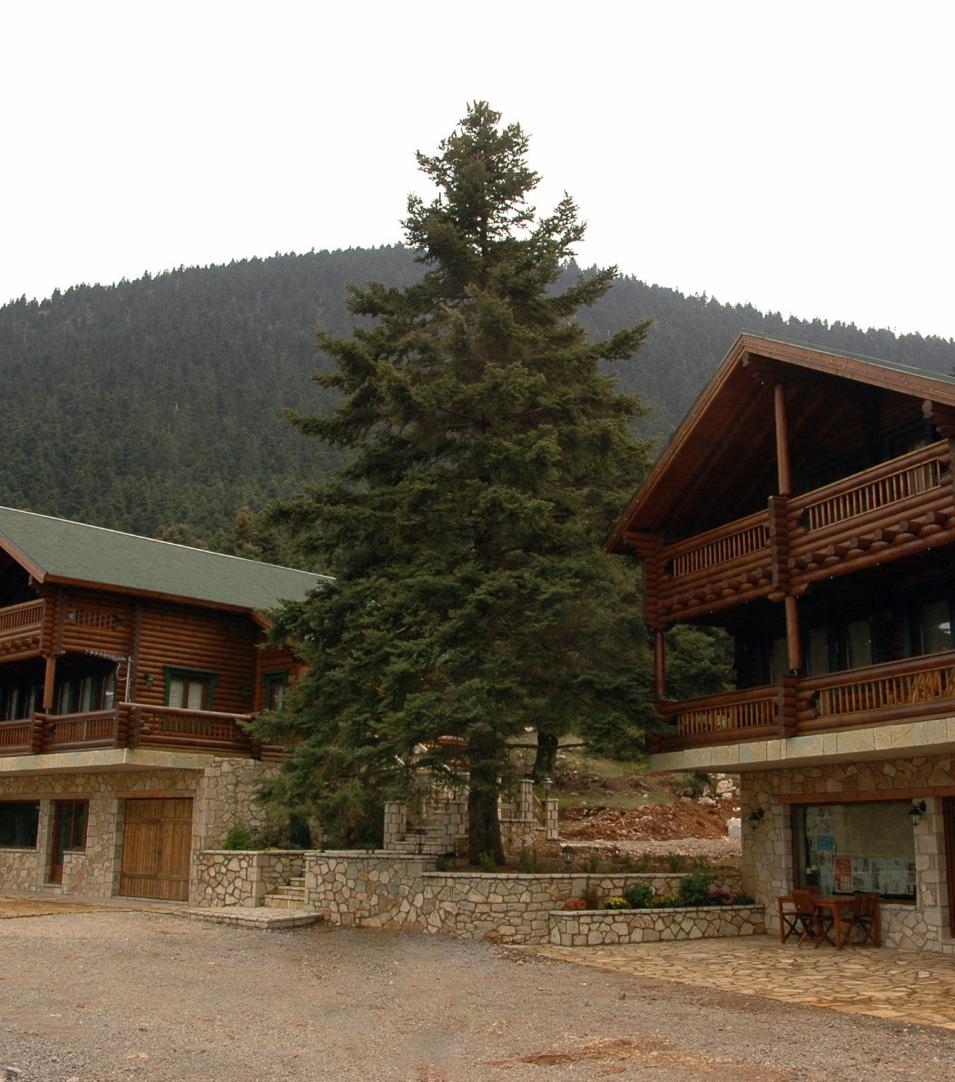 Parnassos Log H3