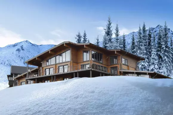 Mountain Ski House