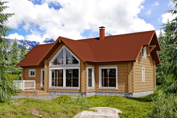 Levi Chalet 1